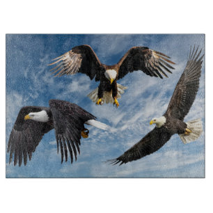 Planche À Découper Aigle à tête blanche