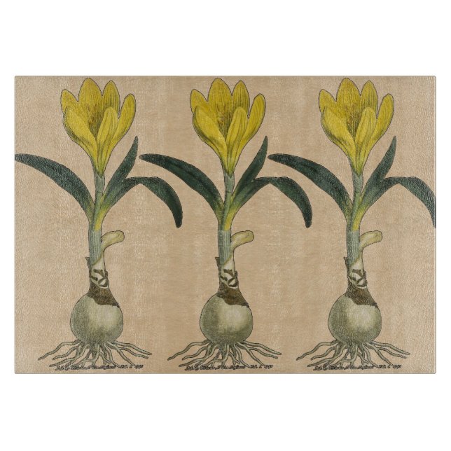 Planche À Découper Amaryllis Tulip Jardin Botanique Fleur (Devant)