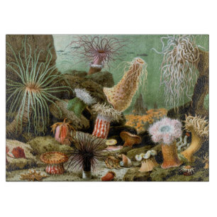 Planche À Découper Anémones de mer, Vie marine Vintage Animaux de l'o
