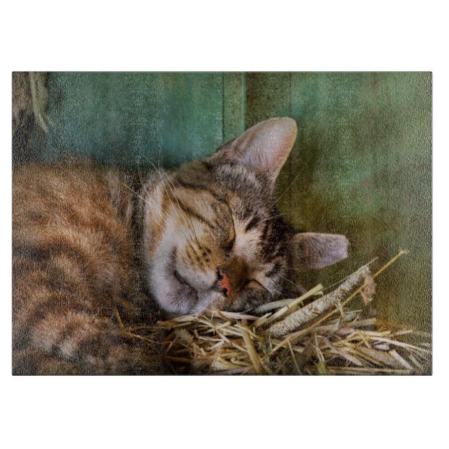 Planche À Découper Animal - Chat - Cat - Cat nap (Devant)