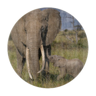 Planche À Découper Animaux de bébés cutest Amama Elephant Avec Bébé