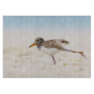 Planche À Découper Animaux de bébés cutest American Oystercatcher C