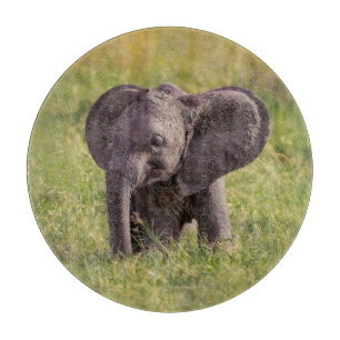 Planche À Découper Animaux de bébés cutest Baby Elephant Kenya Afri