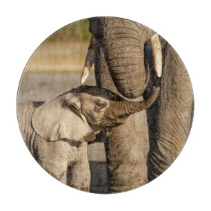 Planche À Découper Animaux de bébés cutest Baby Elephant & Mama