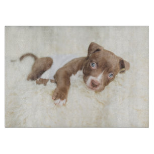Planche À Découper Animaux de bébés cutest Baby Pit Bull Puppy