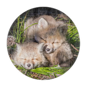 Planche À Découper Animaux de bébés cutest Baby Red Fox Kits Sleepi