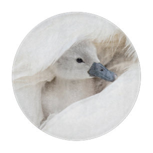Planche À Découper Animaux de bébés cutest Bébé Mute Swan