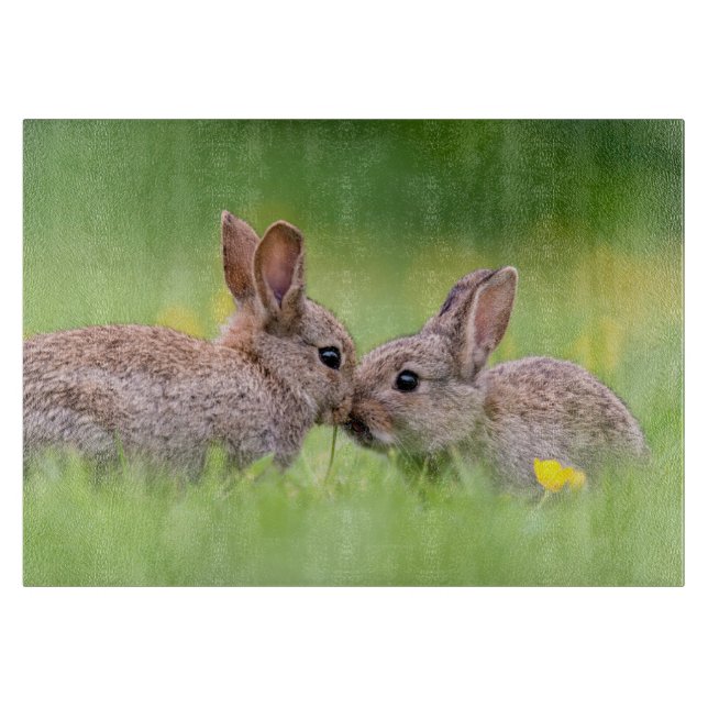 Planche À Découper Animaux de bébés cutest | Bunny Kiss (Devant)