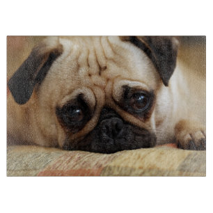 Planche À Découper Animaux de bébés cutest   Carlin bébé chiot