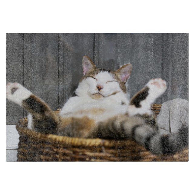 Planche À Découper Animaux de bébés cutest | Chat dans le lit (Devant)