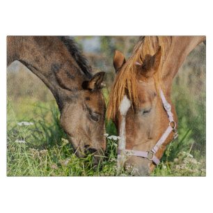 Planche À Découper Animaux de bébés cutest Colt à cheval