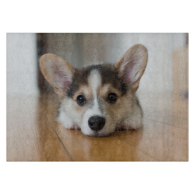 Planche À Découper Animaux de bébés cutest | Corgi Puppy (Devant)