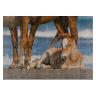 Planche À Découper Animaux de bébés cutest Corolla nouvellement née