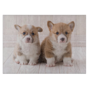 Planche À Découper Animaux de bébés cutest   Deux Bébés Corgis assis