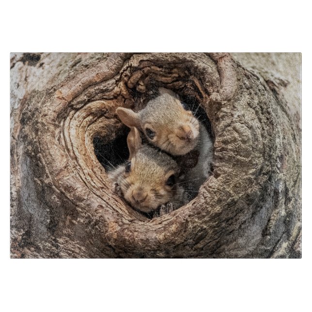 Planche À Découper Animaux de bébés cutest | Deux jeunes écureuils (Devant)