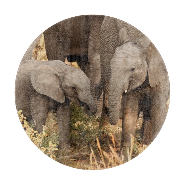 Planche À Découper Animaux de bébés cutest | Deux jeunes éléphants (Devant)