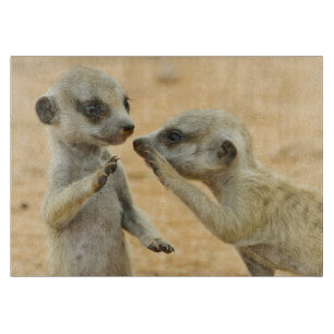 Planche À Découper Animaux de bébés cutest   Deux jeunes Meerkats