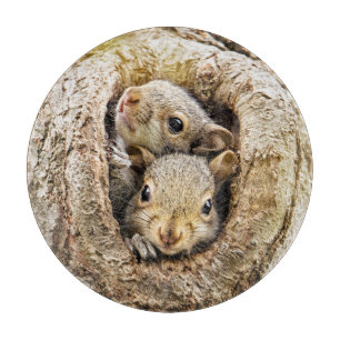 Planche À Découper Animaux de bébés cutest   Écureuils curieux