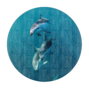 Planche À Découper Animaux de bébés cutest   Famille de dauphins