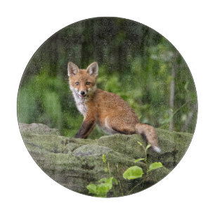 Planche À Découper Animaux de bébés cutest Foxy Smile