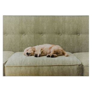 Planche À Découper Animaux de bébés cutest   Golden Retriever Puppy 2