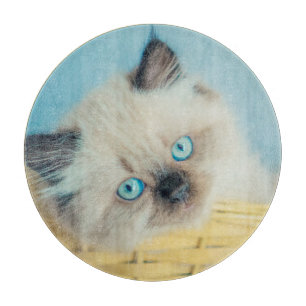 Planche À Découper Animaux de bébés cutest Himalaya Seal Point Cat