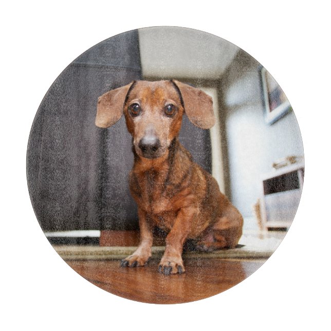 Planche À Découper Animaux de bébés cutest | Mini chiot (Devant)