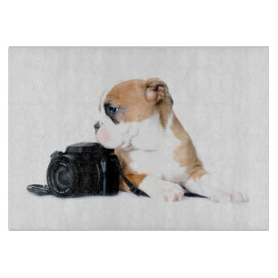 Planche À Découper Animaux de bébés cutest   Old Tyme British Bulldog