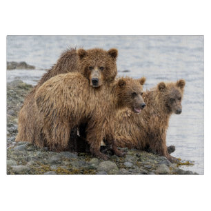 Planche À Découper Animaux de bébés cutest Ours et oursons