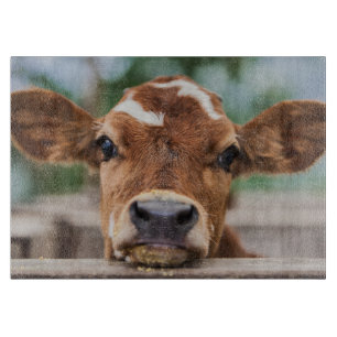 Planche À Découper Animaux de bébés cutest   Petite vache