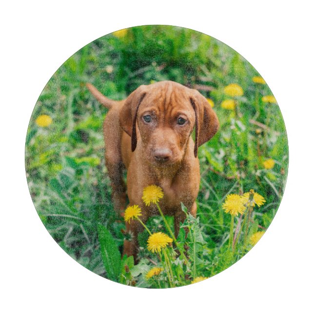 Planche À Découper Animaux de bébés cutest | Pointeur (Devant)
