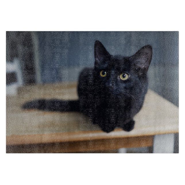 Planche À Découper Animaux de bébés cutest | Portrait d'un chat noir (Devant)