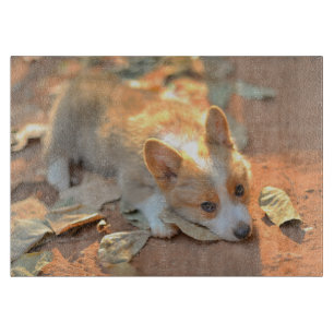 Planche À Découper Animaux de bébés cutest Shy Corgi