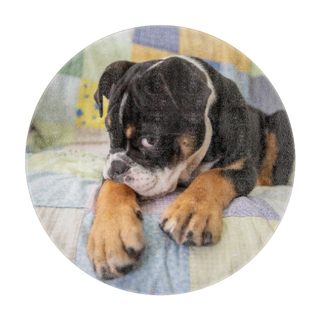 Planche À Découper Animaux de bébés cutest | Shy Old English Bulldog (Devant)