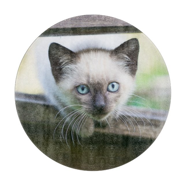 Planche À Découper Animaux de bébés cutest | Siamese Kitten 2 (Devant)