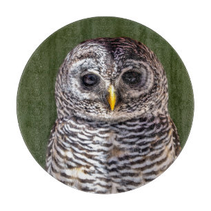 Planche À Découper Animaux de bébés cutest Tawny Owl