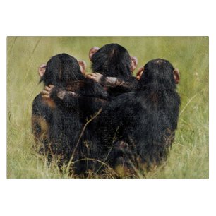 Planche À Découper Animaux de bébés cutest Trois chimpanzés en trai