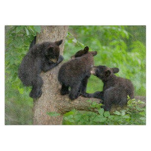 Planche À Découper Animaux de bébés cutest Trois jeunes petits ours