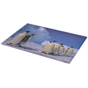 Planche À Découper Antarctique, Territoire antarctique australien, 7