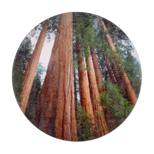 Planche À Découper arbres séquoias géants à feuilles rouges