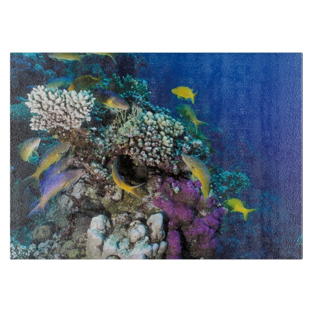 Planche À Découper Around Small Coral (Devant)