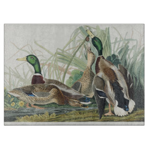 Planche À Découper Art Vintage sur la faune de canard colvert d'Audub