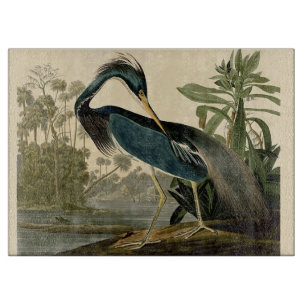 Planche À Découper Audubon Louisiana Heron Birds America Art