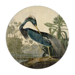 Planche À Découper Audubon Louisiana Heron Birds America Art