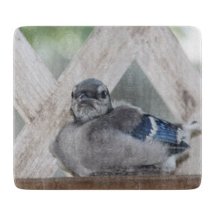 Planche À Découper Baby Blue Jay Cutting Board