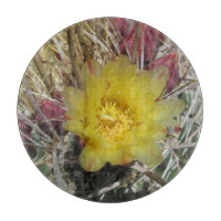 Baril Cactus Fishhook Jaune