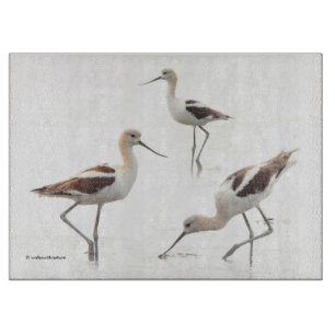 Planche À Découper Beau Avocats américains sur la plage