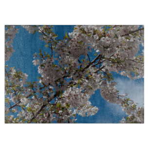 Planche À Découper Beau cerisier en fleurs contre ciel bleu.