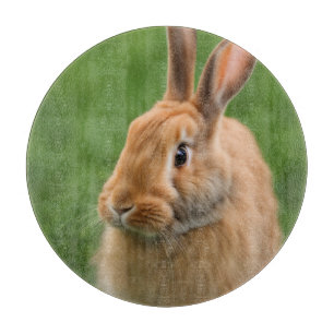 Planche À Découper Beau lapin