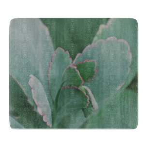 Planche À Découper Beaux Plantes du désert